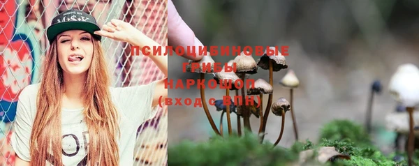 спиды Лабытнанги