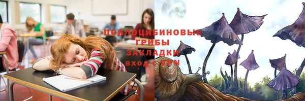 ешки Липки