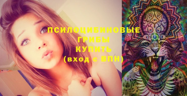 стафф Лихославль