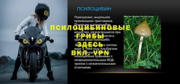 стафф Лихославль